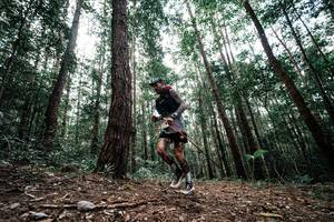 BIB: 
                            <button type="button" onclick="openModal(25261182)" class="btn btn-primary btn-sm float-right btn-popup" data-toggle="modal" data-target=".modal-high-quality">
                        <i class="fas fa-shopping-cart"></i> Add to Cart
                    </button>
                                            <button type="button" onclick="isThisMe(25261182, true)" class="btn btn-success btn-sm float-right btn-popup btn-isme hidden" data-toggle="tooltip" data-placement="bottom" title="นี่คือรูปของคุณใช่ไหม คลิกที่นี่เพื่อเอาเข้าอัลบั้ม">
                        <i class="fas fa-plus"></i> Add to album
                    </button>
                    <button type="button" onclick="isThisMe(25261182, false)" class="btn btn-warning btn-sm float-right btn-popup btn-isnotme hidden">
                        <i class="fas fa-ban"></i> Remove from album
                    </button>